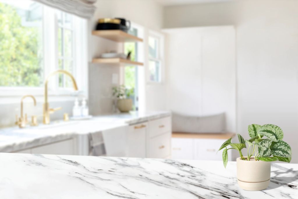 How to Properly Clean and Maintain Vinyl-Wrapped Countertops